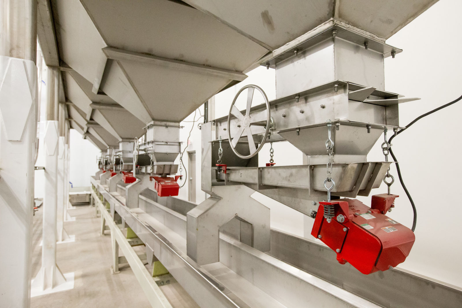 Hazelnut processing equipment